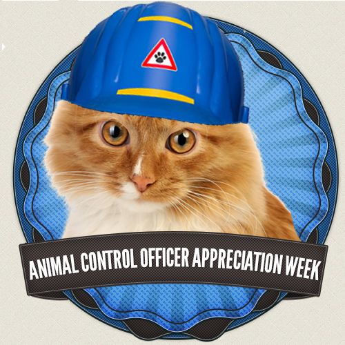 National Animal Control Officer Appreciation Week Dr. Kathy's