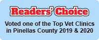 Dr. Kathy’s Veterinary Care in Readers' Choice voted one of the Top Vet Clinics in Pinellas County in 2019 & 2020