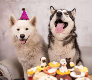 Dog Party Day Tips