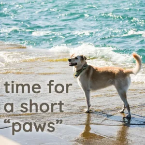 Time for a short “paws”
